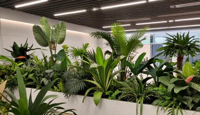 短视频账号管理中的常见误区及解决方案
